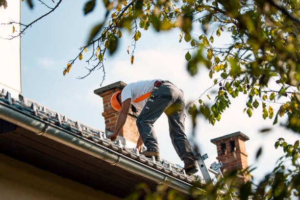 Best Roof Gutter Cleaning  in Hopkinsville, KY