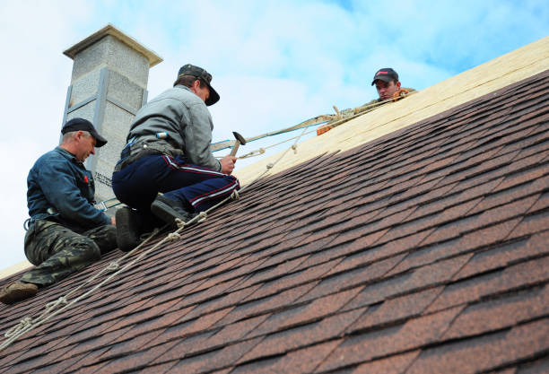 Best Commercial Roofing Services  in Hopkinsville, KY